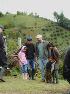 El Mesón coffee farm in Colombia, where Edwin & Javier grow their Tabi coffee.