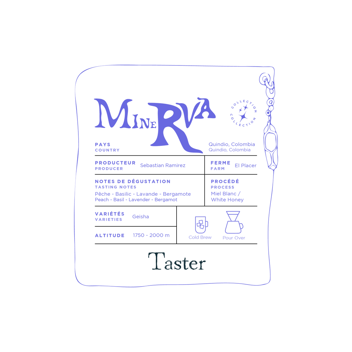 Illustration du sac Taster Minerva 80g ou 150g, café Gesha de Colombie aux notes de pêche, basilic, lavande et bergamote.