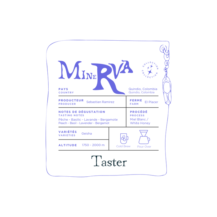 Illustration du sac Taster Minerva 80g ou 150g, café Gesha de Colombie aux notes de pêche, basilic, lavande et bergamote.