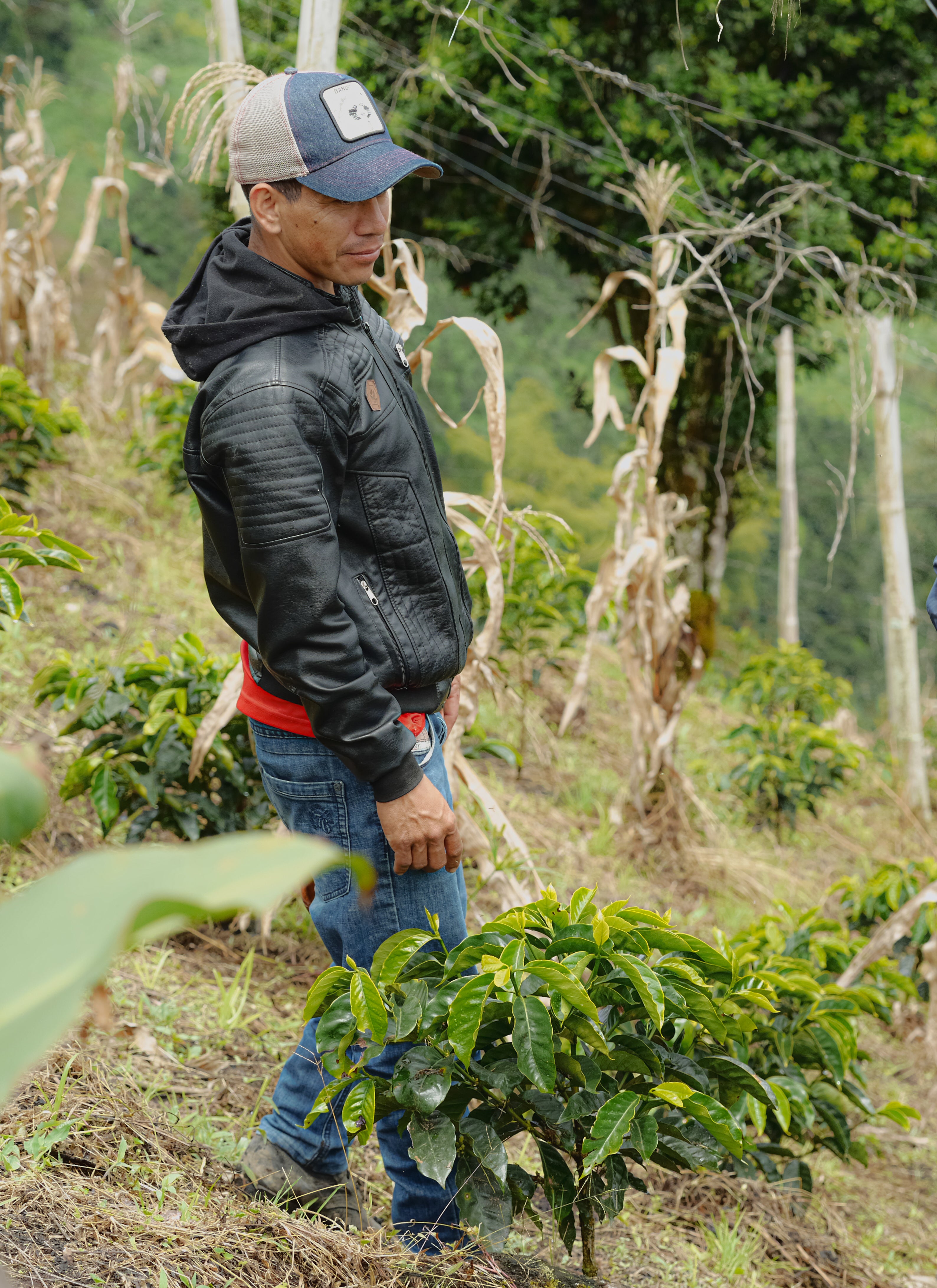El Mesón coffee farm in Colombia, where Edwin & Javier grow their Tabi coffee.