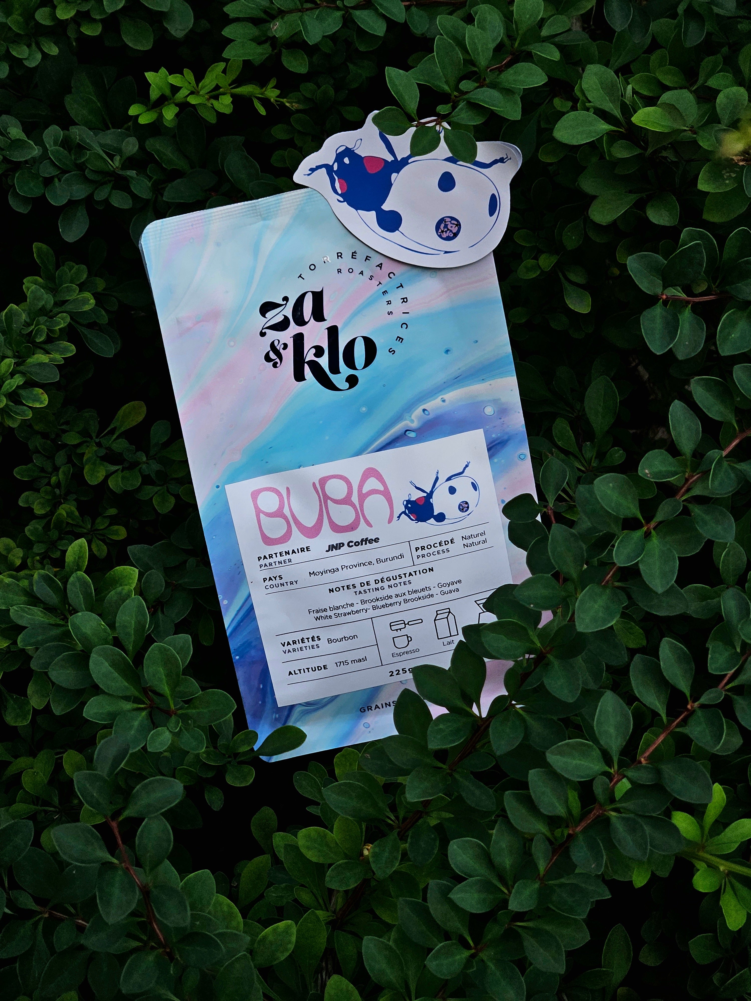 Image of Za and Klo Roasters bag of coffee titled Buba, from Moyinga, Burundi. The bag is nestled in green plants and features ladybug illustration. 
