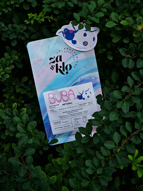 Image of Za and Klo Roasters bag of coffee titled Buba, from Moyinga, Burundi. The bag is nestled in green plants and features ladybug illustration. 