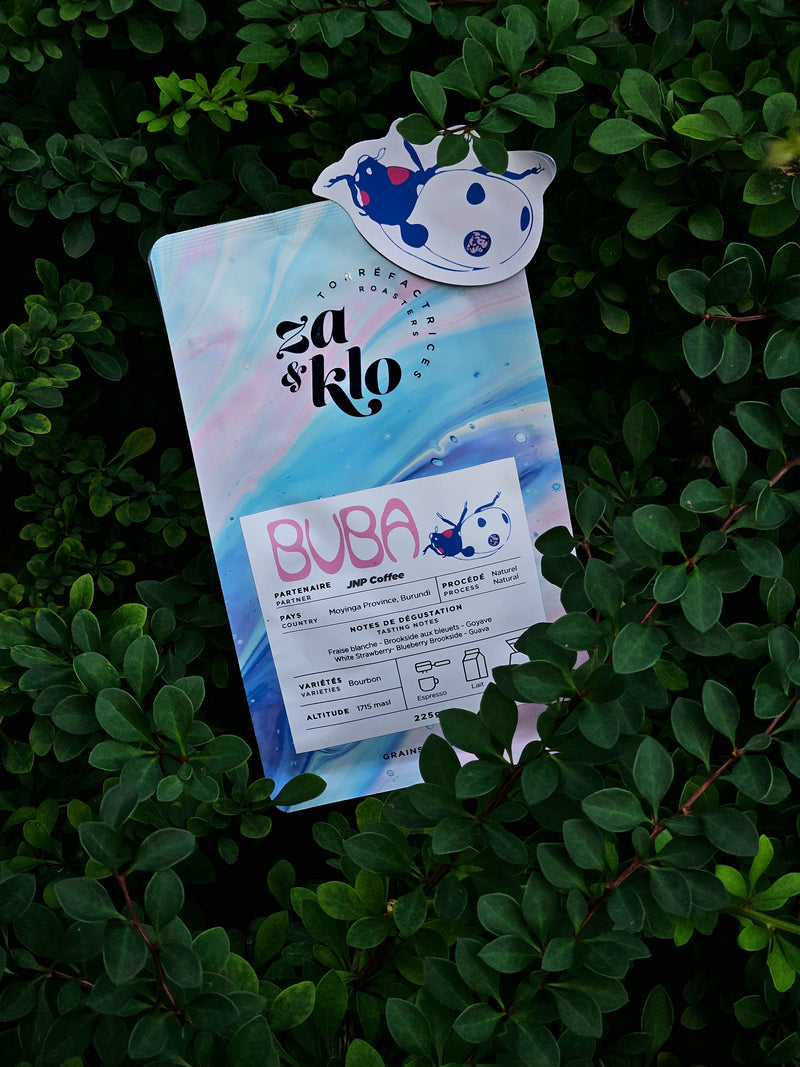Image of Za and Klo Roasters bag of coffee titled Buba, from Moyinga, Burundi. The bag is nestled in green plants and features ladybug illustration. 